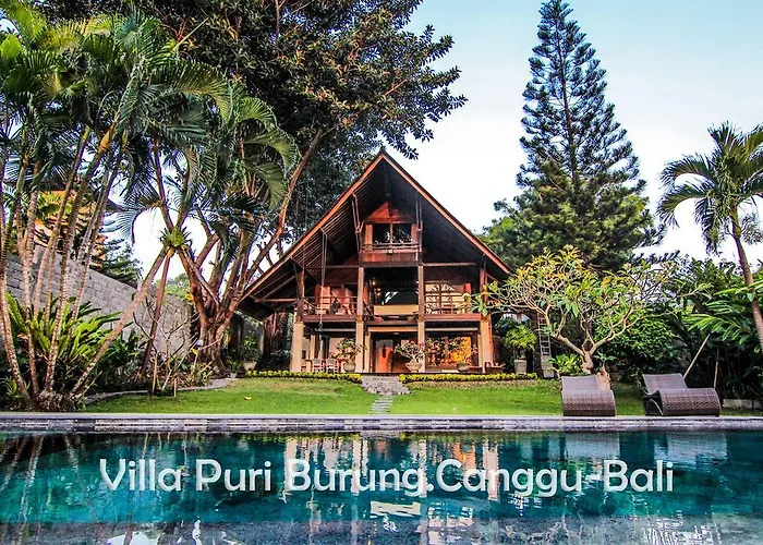 Puri Burung Villa Canggu (Bali)