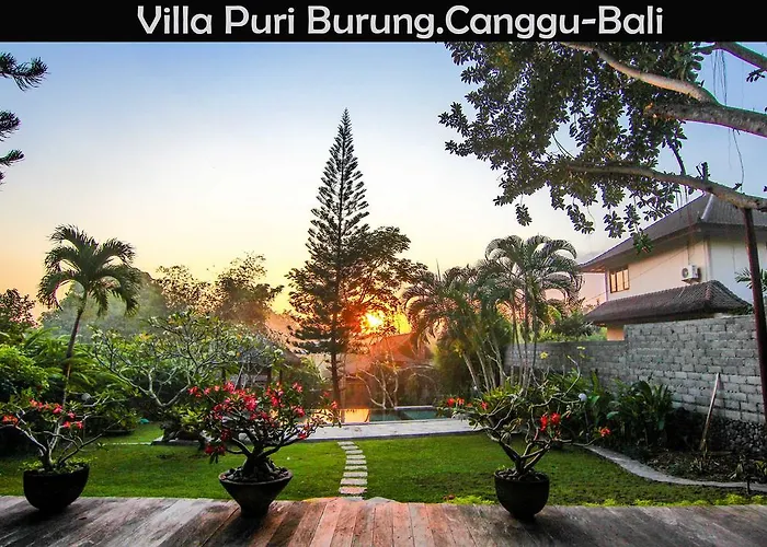 Puri Burung Canggu (Bali)
