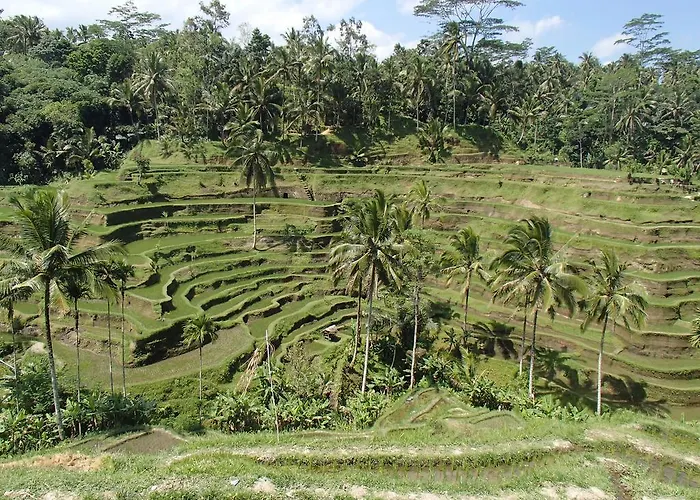 Villa Puri Burung *